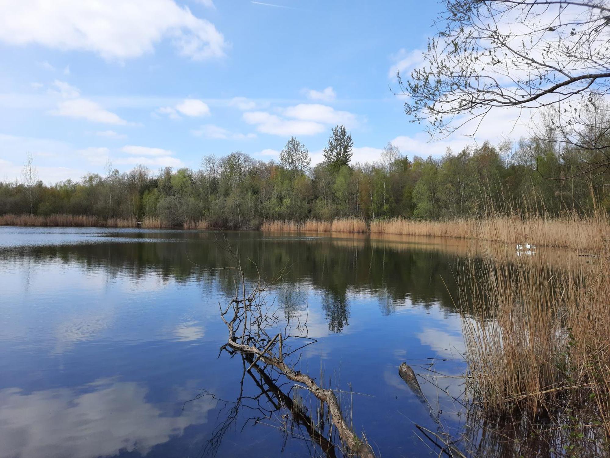 Ferienhaus Am See Goch Kessel Oda fotoğraf